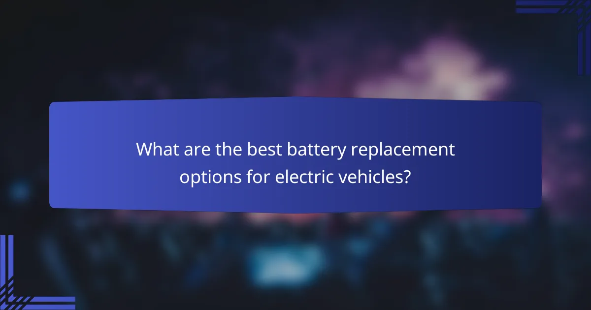 What are the best battery replacement options for electric vehicles?